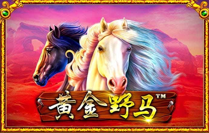 香港最准内部免费资料苹果手机版